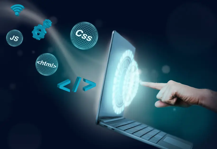 ProfessionalWeb contacto